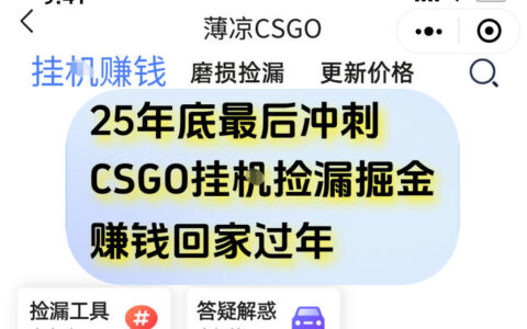 12月年底抓緊最后一個月，用CSGO游戲掛G撿漏掘金賺錢掘金，一部手機輕松日入5張+【揭秘】